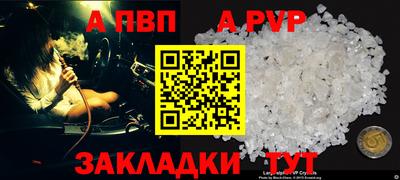 стафф Вязьма