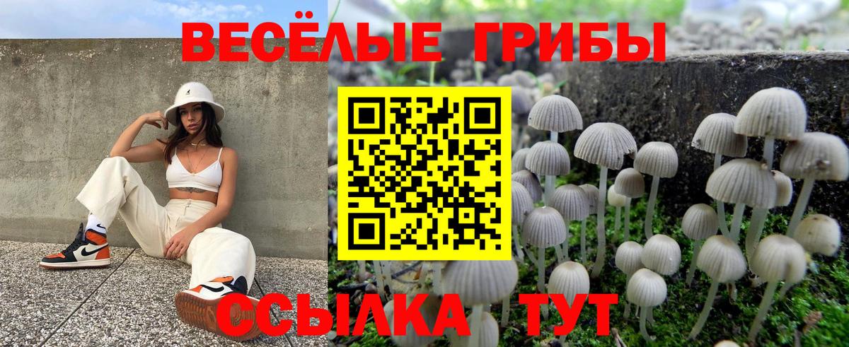 Галлюциногенные грибы Psilocybine cubensis Нижний Новгород